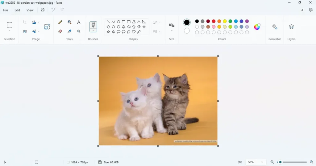 حذف پس زمینه عکس در paint