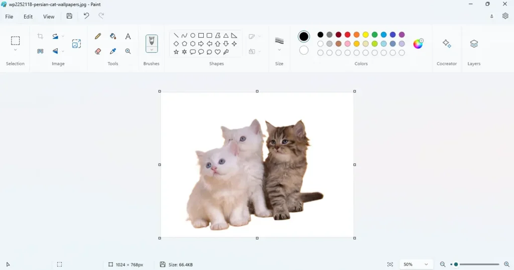 حذف پس زمینه عکس در paint