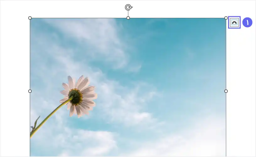 نحوه نوشتن متن روی عکس در ورد